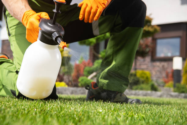 Best Termite Control Services  in Lawrence, MA