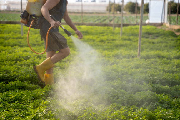 Best Affordable Pest Control Services  in Lawrence, MA